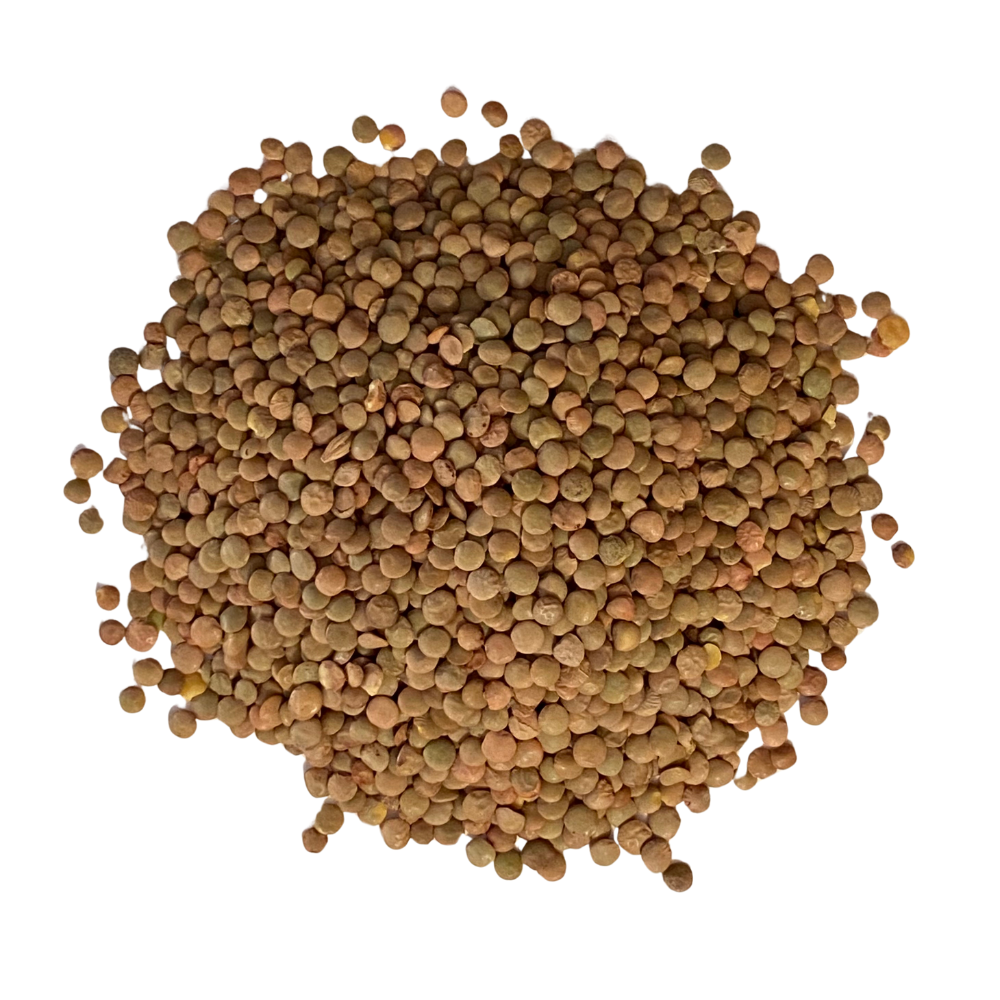 Green Lentils