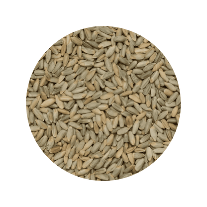 Framed Rye grains