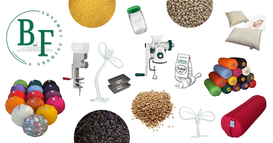 Brow Farm – Regenerative Farm-to-Wellness Goods. Free UK Delivery