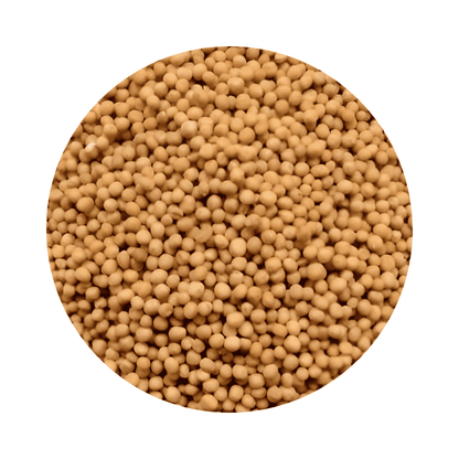 Yellow Mustard Seed For Microgreens and Sprouting